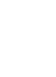  light logo